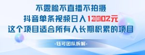 不露脸不直播不拍摄抖音单条视频日入1k+这个项目适合所有人长期积累的项目-知一资源网