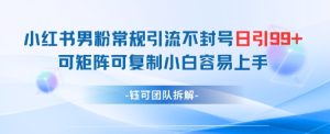 小红书男粉常规引流不封号日引99+变现简单 可矩阵可复制小白容易上手-知一资源网