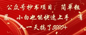 公众号抄书项目,简单粗暴,小白也能快速上手,有人一天搞了1k+-知一资源网
