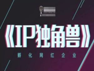 IP独角兽,孵化网红企业,ip教程-知一资源网