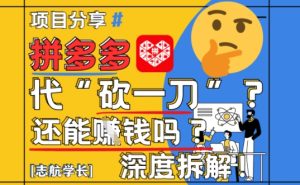 【2025最新】拼多多代坎助力项目深度拆解:还能挣钱吗?全流程玩法-知一资源网
