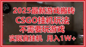 2025最新游戏搬砖，CSGO挂G，不需要玩游戏，实现真挂G，月入1W+【揭秘】-知一资源网