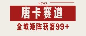 小红书某音唐卡赛道引流获客 自热矩阵日引200+【揭秘】-知一资源网