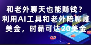和老外聊天也能挣钱?利用AI工具和老外陪聊挣美金,时薪可达20刀-知一资源网