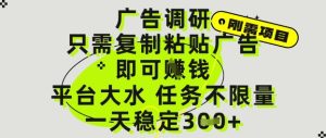 广告调研项目,只需复制粘贴广告即可挣钱,平台大水,任务不限量,一天3张【揭秘】-知一资源网