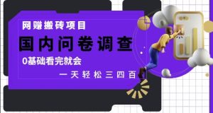 网创搬砖项目,国内问卷调查,0基础看完就会 一天轻松三四张,靠谱副业干就完了【揭秘】-知一资源网