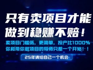 只有卖项目才能做到稳挣不赔,门槛低,更简单,你也可以年入百个W【揭秘】-知一资源网