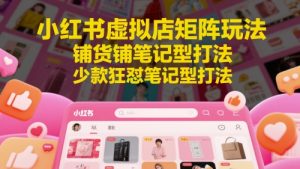 小红书虚拟店矩阵玩法,铺货铺笔记型打法,少款狂怼笔记型打法-知一资源网
