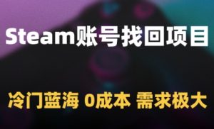 Steam账号找回项目,冷门蓝海,0成本,需求极大-知一资源网