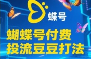2025蝴蝶号付费投流豆豆打法,助新手快速掌握付费流量撬动自然流的核心玩法-知一资源网