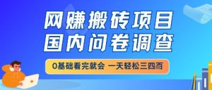 网创搬砖项目,国内问卷调查,小白轻松上手,一天三四张的也不难,干就完了【揭秘】-知一资源网