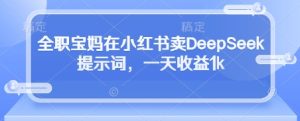 全职宝妈在小红书卖DeepSeek提示词,一天收益1k-知一资源网