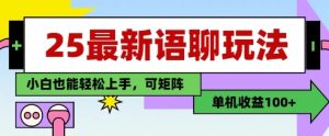 25年最新语聊玩法，纯手工，单机收益100+，小白也能轻松上手，可矩阵操作-知一资源网
