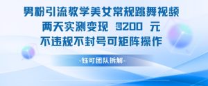 男粉引流教学美女常规跳舞视频两天实测变现1k+，不违规不封号可矩阵操作-知一资源网