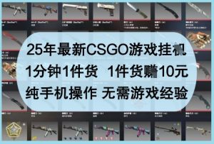 25年最新CSGO游戏挂G,1分钟1件货,1件货挣10元,纯手机操作,无需游戏经验【揭秘】-知一资源网