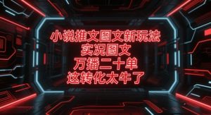 小说推文图文新玩法,实况图文,万播二十单,这转化太牛了!-知一资源网