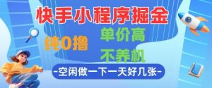 快手小程序掘金,纯0撸,单价高不养机 利用空闲时间做一做,一天好几张【揭秘】-知一资源网