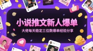 小说推文新人爆单大佬每天稳定三位数爆单经验分享-知一资源网