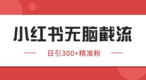 小红书截流同行客源，独家野路子获客玩法 日引200+暴力获客【揭秘】-知一资源网