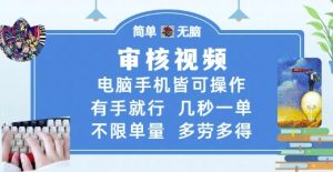 审核视频,电脑手机皆可操作,有手就行,几秒一单,不限单量,多劳多得【揭秘】-知一资源网