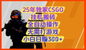 25年独家CSGO挂G搬砖,全自动操作,无需打游戏,小白日入3张+【揭秘】-知一资源网
