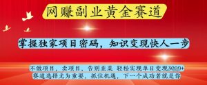 网创副业黄全赛道,掌握独家项目密码,知识变现快人一步,告别韭菜轻松实现单日变现1k+【揭秘】-知一资源网