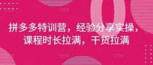 拼多多特训营,经验分享实操,课程时长拉满,干货拉满(更新25年4月)-知一资源网