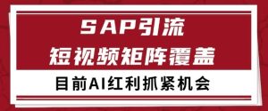 小红书某音sap赛道引流获客 自热矩阵日引200+【揭秘】-知一资源网