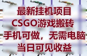最新挂G项目,CSGO游戏搬砖,手机可做,无需电脑,当日见收益【揭秘】-知一资源网