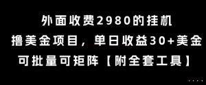 外面收费2980的挂G撸美金项目,单日收益30+美金,可批量可矩阵【揭秘】-知一资源网