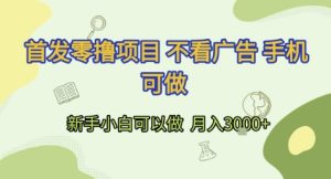 首发零撸项目 不看广告 手机可做 新手小白可以做  月入3k+【揭秘】-知一资源网