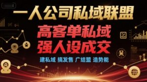 一人公司私域联盟,高客单私域,强人设成交,建私域 搞发售 广结盟 造势能-知一资源网