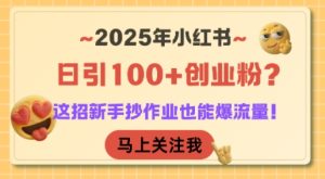 2025年小红书日引100+创业粉?这招新手抄作业也能爆流量!-知一资源网