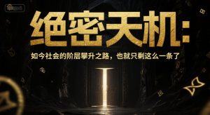 付费文章:绝密天机:如今社会的阶层攀升之路,也就只剩这么一条了-知一资源网