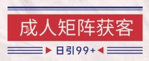 小红书某音橙人赛道引流获客,自热矩阵日引200+【揭秘】-知一资源网