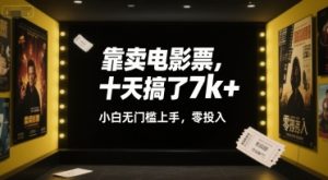 靠卖电影票,十天搞了7k+,小白无门槛上手,零投入【揭秘】-知一资源网