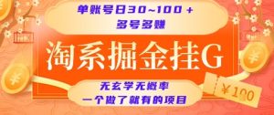 淘系掘金挂G项目,单账号日收益30~100+,多号多得,一个做了就有的项目【揭秘】-知一资源网