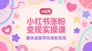 小红书涨粉变现实操课,最快速度带你涨粉变现-知一资源网