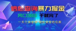 信息查询暴力掘金,一天三条视频,轻松变现四位数,风口项目干就完了【揭秘】-知一资源网