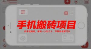 手机搬砖项目,有手就能做,亲测一小时几十,苹果安卓都可以-知一资源网
