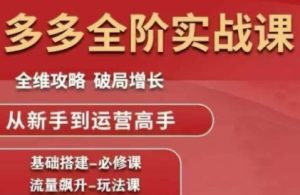 拼多多全阶实战课程,全维攻略,破局增长,从新手到运营高手-知一资源网