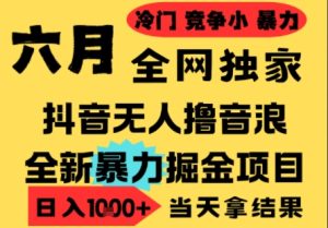 25年6月高爆抖音无人直播最新撸音浪掘金项目,小白可做,无脑日入1k+,门槛低可批量矩阵【揭秘】-知一资源网