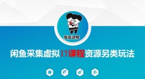 闲鱼采集虚拟IT课程资源另类玩法,干货满满-知一资源网