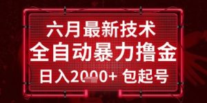 六月最新技术全自动暴力撸金,稳定日入2k+包起号,长期稳定【揭秘】-知一资源网