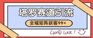 小红书某音塔罗赛道引流获客 自热矩阵日引200+【揭秘】-知一资源网