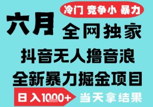 2025年6月高爆抖音无人直播最新撸音浪掘金项目,无脑日入1k+,低门槛小白可做,可矩阵放大【揭秘】-知一资源网