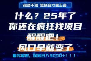 什么?25年你还在疯狂找项目做,醒醒吧,看完这些你全都懂了!【揭秘】-知一资源网