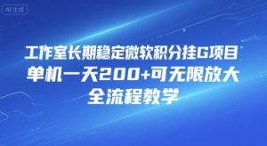 工作室长期稳定微软积分挂G项目,单机一天200+可无限放大,全流程教学【揭秘】-知一资源网