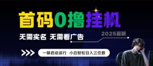 首码0撸全自动挂G项目,无需实名无需看广告,小白轻松日入3位数,多号短阵收益无上限【揭秘】-知一资源网