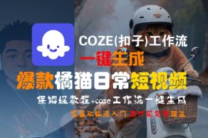 COZE(扣子)工作流一键生成爆款橘猫日常短视频,保姆级教程,零基础快速入门-知一资源网